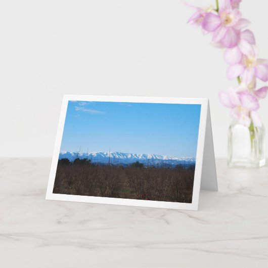 Persimmon Fruit Field and Snowy Mountains Karte (Orchidee)