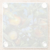 Persimmon Obstbaum Schönes Original Kunstwerk Glasuntersetzer (Rückseite)