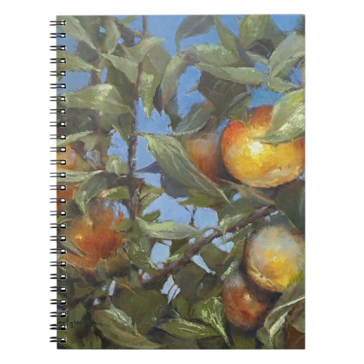 Persimmon Obstbaum Schönes Original Kunstwerk Notizblock (Vorderseite)