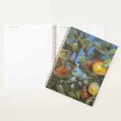 Persimmon Obstbaum Schönes Original Kunstwerk Planer (Anzeige)