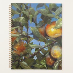 Persimmon Obstbaum Schönes Original Kunstwerk Planer