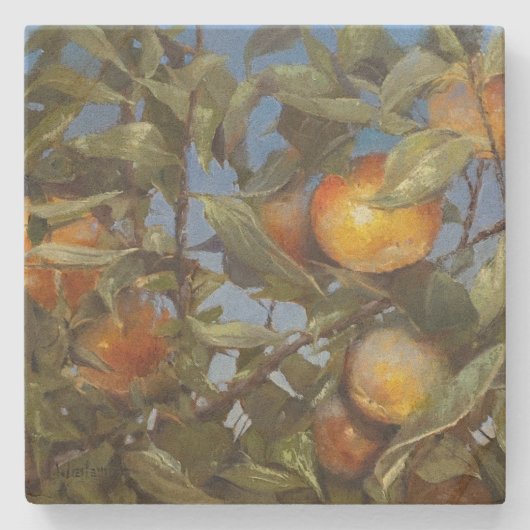 Persimmon Obstbaum Schönes Original Kunstwerk Steinuntersetzer (Vorderseite)