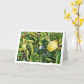 Persimmon Tree Portrait Karte (Gelbe Blume)