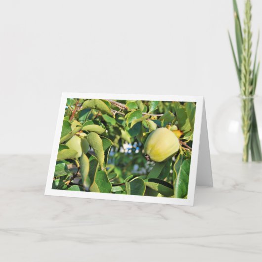 Persimmon Tree Portrait Karte (Vorderseite)