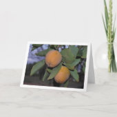 Persimmon Tree Portrait Karte (Vorderseite)