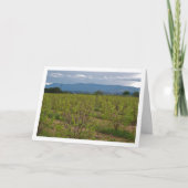 Persimmon Trees and Mountain Landscape Card Karte (Vorderseite)