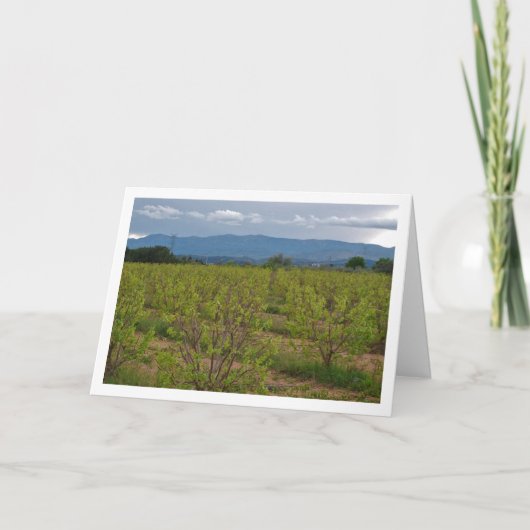 Persimmon Trees and Mountain Landscape Card Karte (Vorderseite)