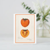 Persimmon Vintage botanische Illustration Postkarte (Stehend Vorderseite)