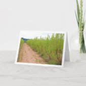 Persimmonbaume in der Frühjahrskarte Karte (Vorderseite)