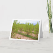 Persimmonbaume in der Frühjahrskarte Karte (Vorderseite)