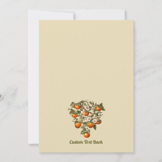 Persimmonen Einladung (Rückseite)