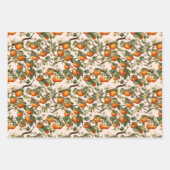 Persimmonmuster Geschenkpapier Set (Vorderseite 2)