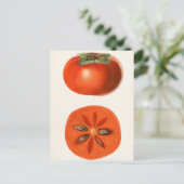 Persimmons Fruchtfarbenmalerei Postkarte (Stehend Vorderseite)
