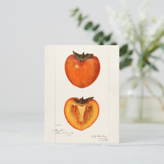Persimmons Fruchtfarbenmalerei Postkarte (Stehend Vorderseite)