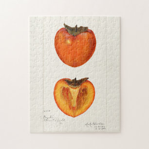 Persimmons Fruchtfarbenmalerei Puzzle