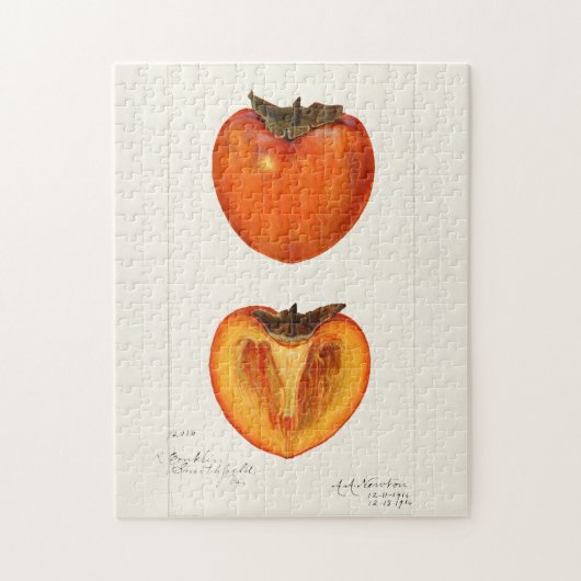 Persimmons Fruchtfarbenmalerei Puzzle (Vertikal)
