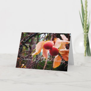 Persimmons Holiday Card Feiertagskarte