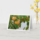 Persimmons in Tree Portrait Karte (Gelbe Blume)