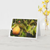 Persimmons in Tree Portrait Karte (Gelbe Blume)