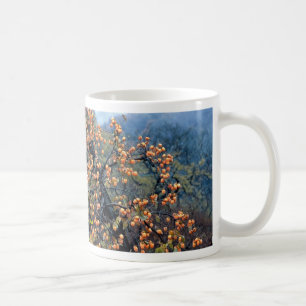 Persimonebaum, Fall Kaffeetasse
