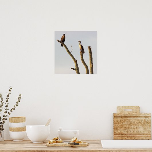 Persing Birds Poster (Küche)