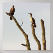 Persing Birds Poster (Vorne)