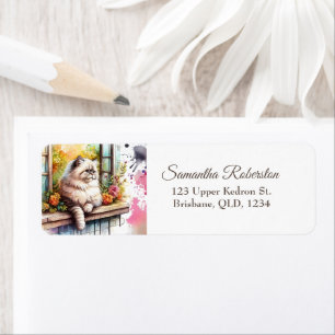 Persisch Beige graue Katze im Sommer als Blumenkol