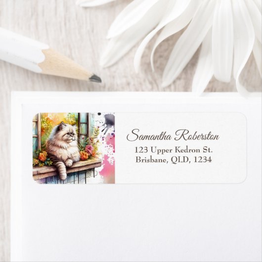 Persisch Beige graue Katze im Sommer als Blumenkol (Insitu)