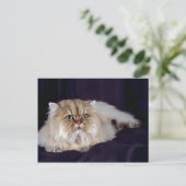 Persisch, golden postkarte (Stehend Vorderseite)