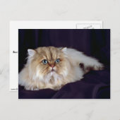 Persisch, golden postkarte (Vorne/Hinten)