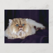 Persisch, golden postkarte (Vorderseite)