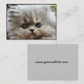 Persische Kätzchen-Visitenkarte groß Visitenkarte (Vorne/Hinten)