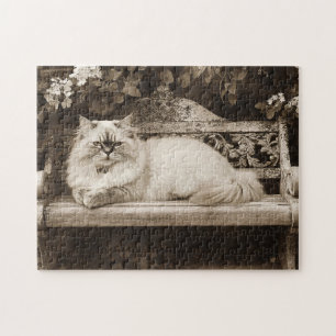 Persische Katze auf der Gartenbank Puzzle