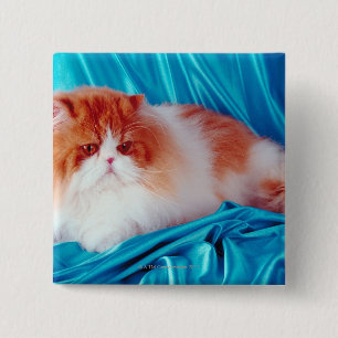 Persische Katze Button