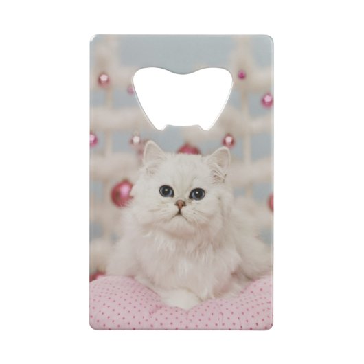 Persische Katze, die auf rosa Kissen sitzt Geldkarten Flaschenöffner (Rückseite)