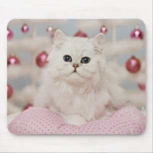 Persische Katze, die auf rosa Kissen sitzt Mousepad