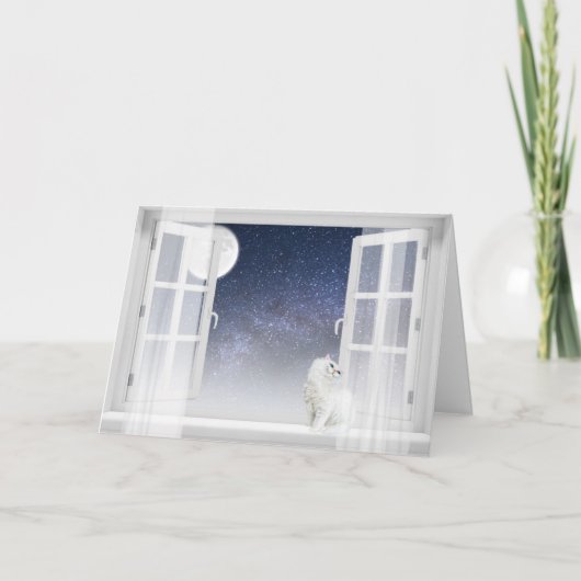 Persische Katze im Fenster Feiertagskarte (Vorderseite)