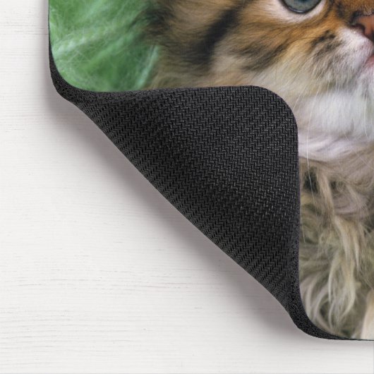 Persische Katze; ist eine der ältesten Katzenrasse Mousepad (Ecke)