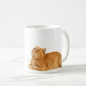 Persische Katze Kaffeetasse (VorderseiteRechts)