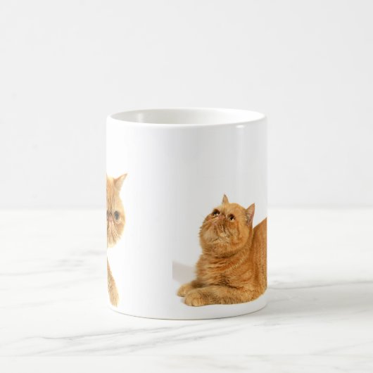 Persische Katze Kaffeetasse (Mittel)