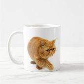 Persische Katze Kaffeetasse (Links)