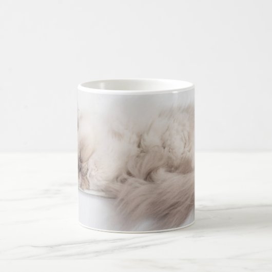 Persische Katze Kaffeetasse (Mittel)