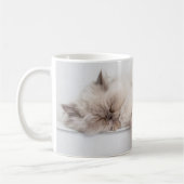 Persische Katze Kaffeetasse (Links)
