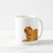 Persische Katze Kaffeetasse (VorderseiteRechts)