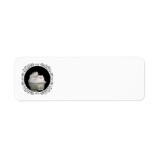 Persische Katze mit Jade Green Eyes (Vorne)