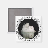 Persische Katze mit Jade Green Eyes Magnet (Vorderseite/Rückseite)