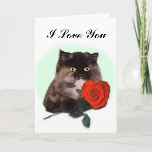 Persische Katze mit Rosen-Karte Karte