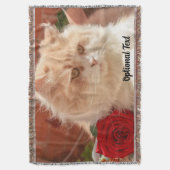 Persische Katze mit Rote Rose Decke (Vorderseite Vertikal)