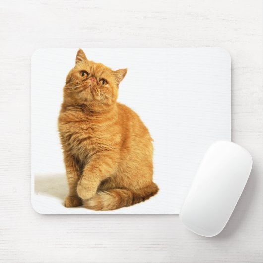 Persische Katze Mousepad (Mit Mouse)