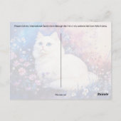Persische Katze - Postkarte (Rückseite)